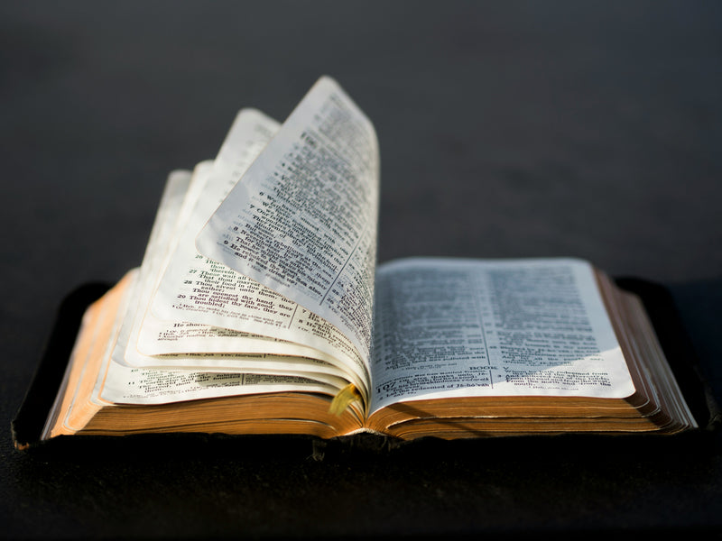 God Uses The Flawed