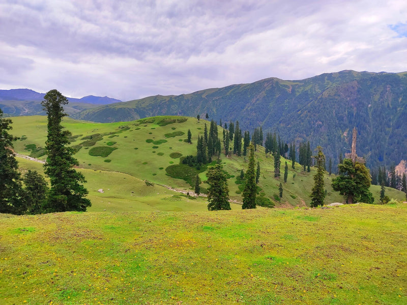 Healing Lands