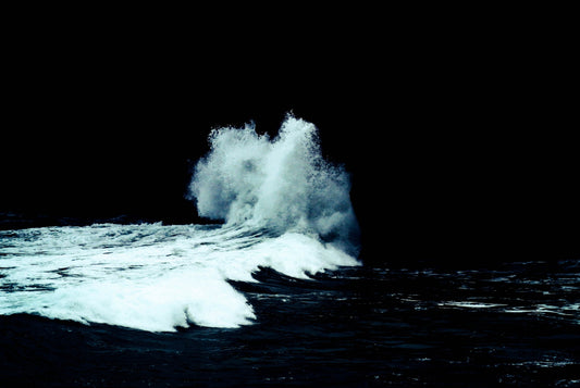 A Lesson From the Ocean