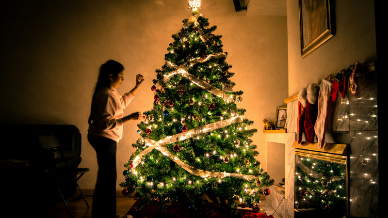All I Want For Christmas