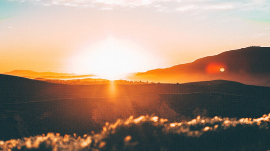 At Dawn