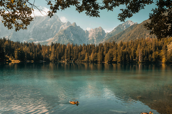 A Not So Tranquil Lake