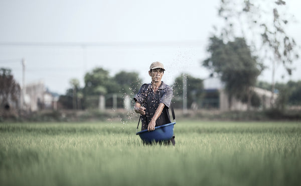 Sowing and Reaping