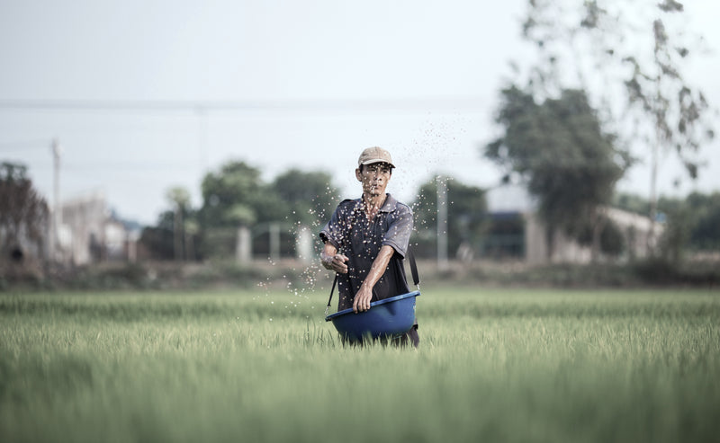 Sowing and Reaping