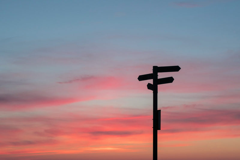 Living Out God's Purpose