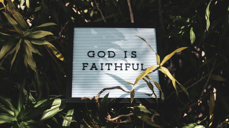 Faith Not Luck