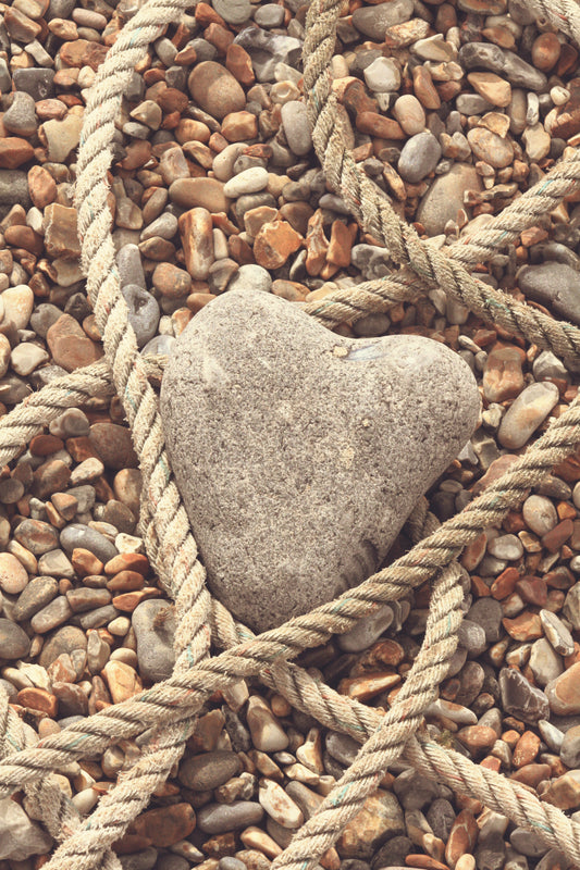 "Steadfast Love"