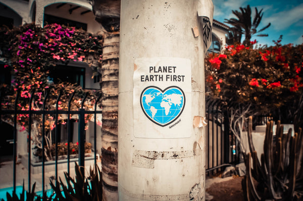 A Conservationist's Observation