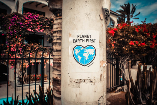 A Conservationist's Observation