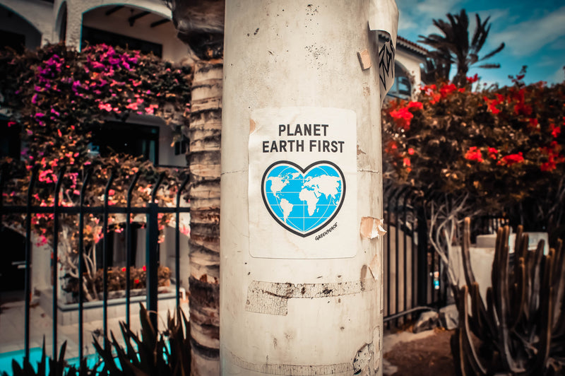 A Conservationist’s Observation