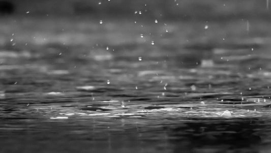 If There Was No Resurrection