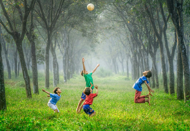 Contentment Brings Joy