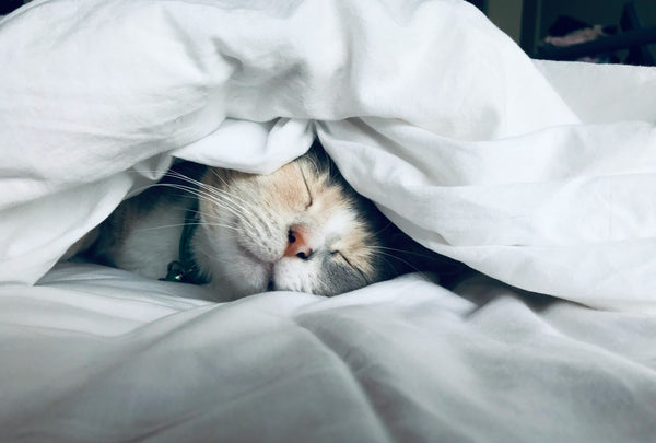 Rhythm of Rest