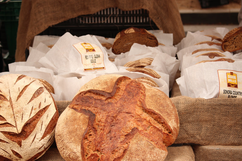Sourdough Origins
