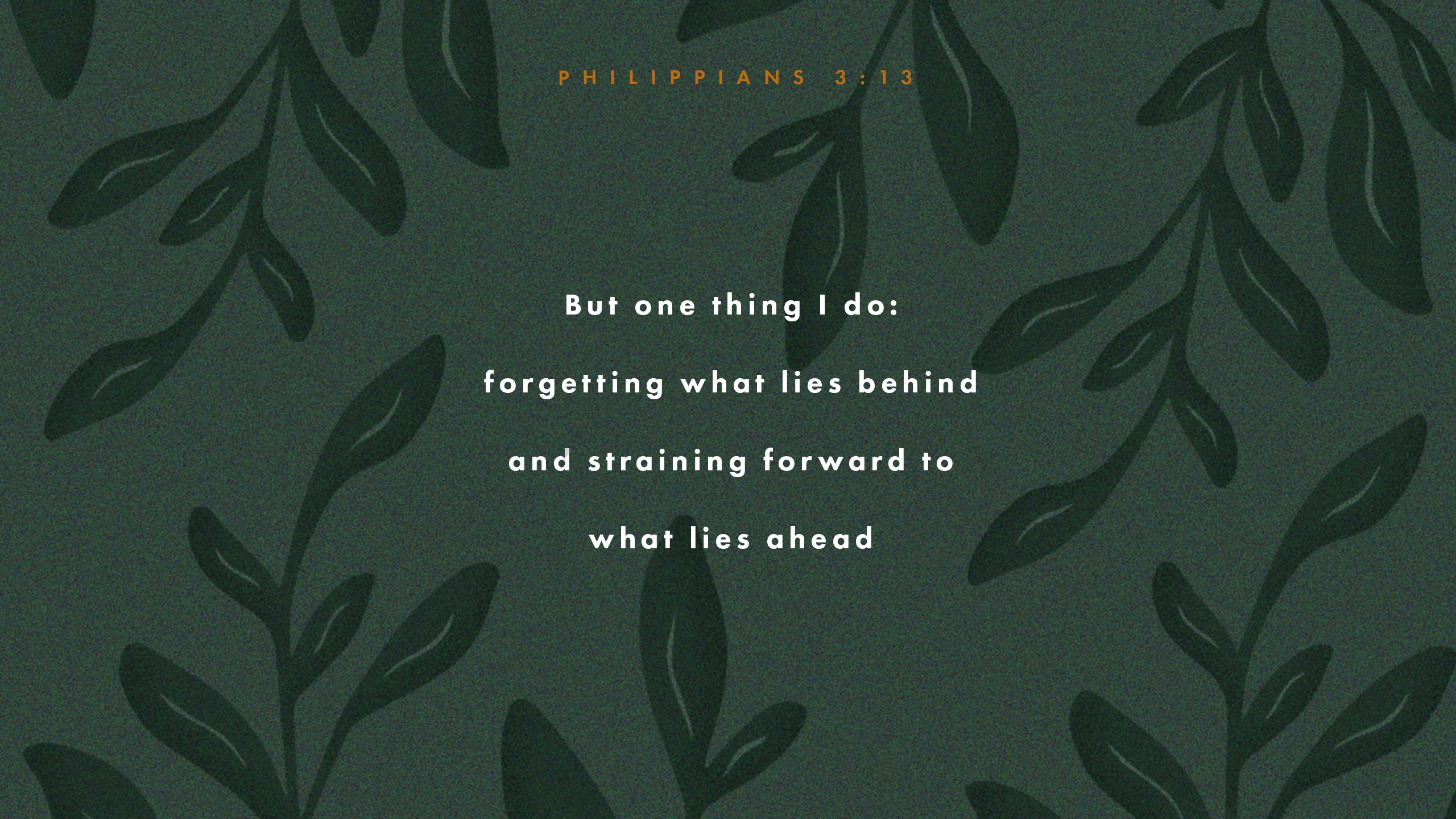 Verse of the Day: Philippians 3:13