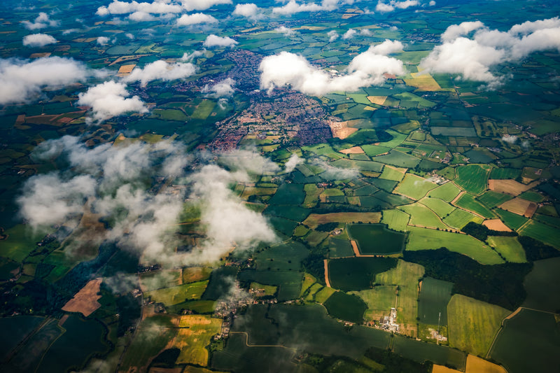 Gospel View