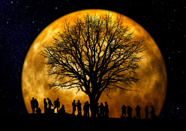 The Family of God
