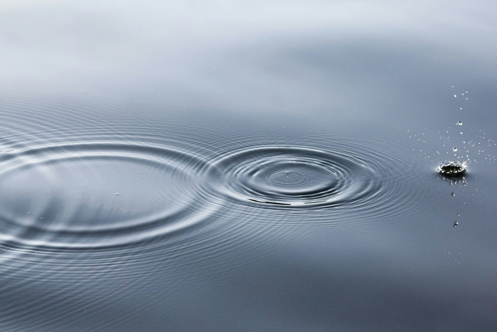 Own Your Ripple Your Ripple Effect – Ministry Pass