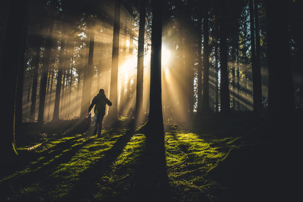 Sunbeam