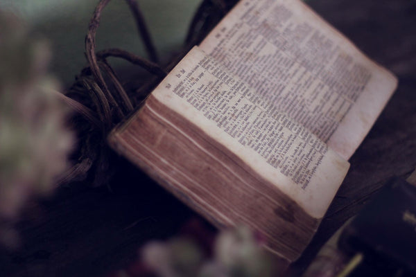 Trusting Scripture