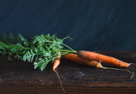 The Carrot And The Horse