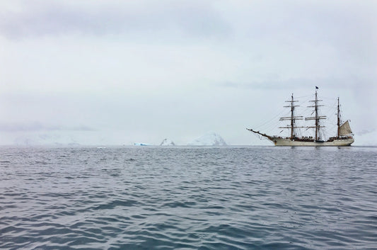 The Moravians' Witness