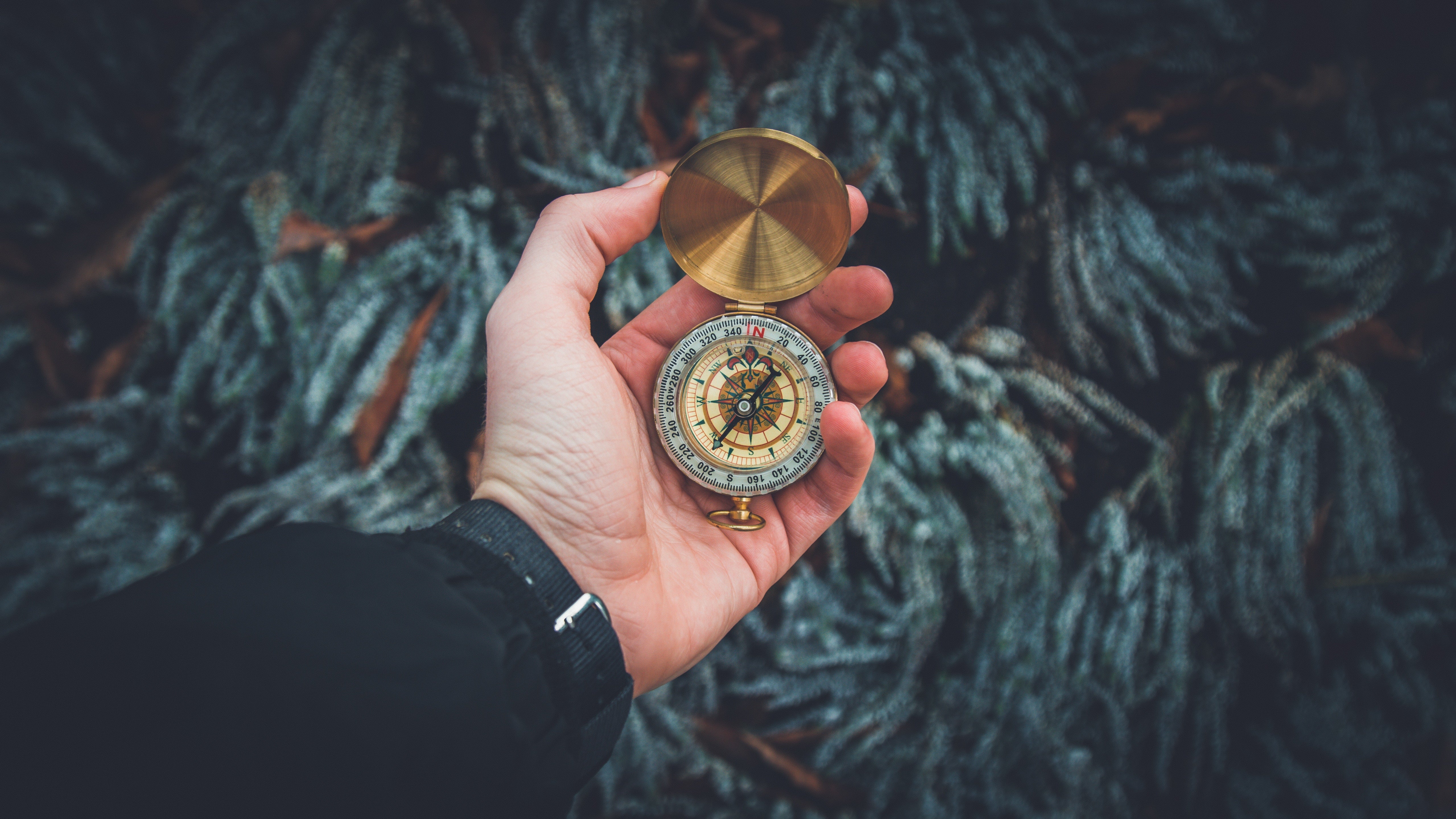 Compass Pass Our Trusted Compass – Ministry Pass